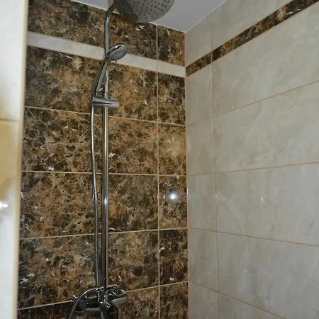 соняшник Verkhovyna